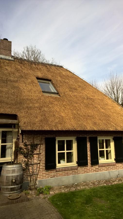 Villa Hoeve Den Anholt à Ruinen Extérieur photo